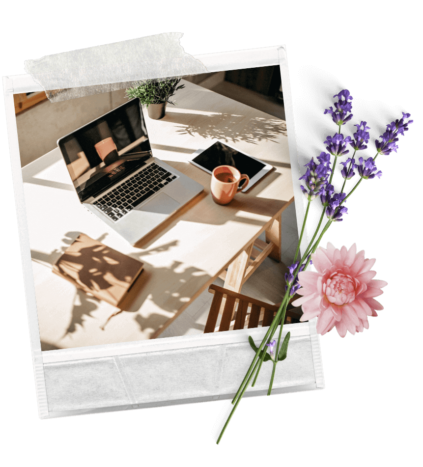 #nurwasichmag im Business: DER Aufräumplan für dein Wohlfühlbusiness!