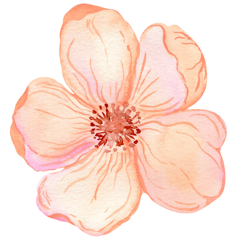 blume