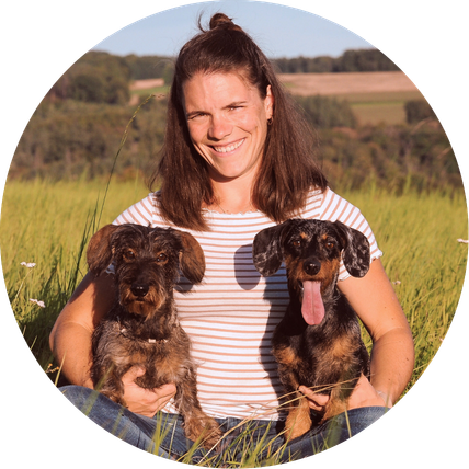 Viola Möhrle ganzheitliche hundetherapie