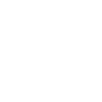 icon diamant weiss