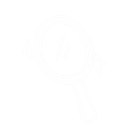icon Spiegel